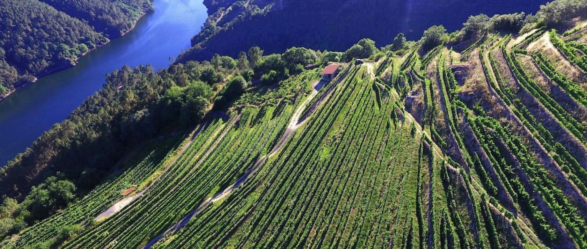 Ribeira Sacra