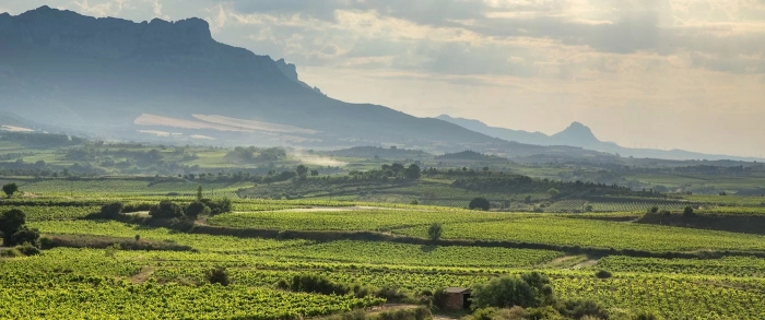 Read more about Rioja