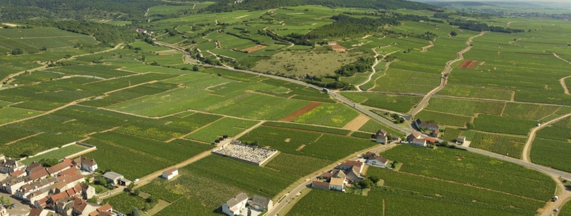 Chassagne-Montrachet