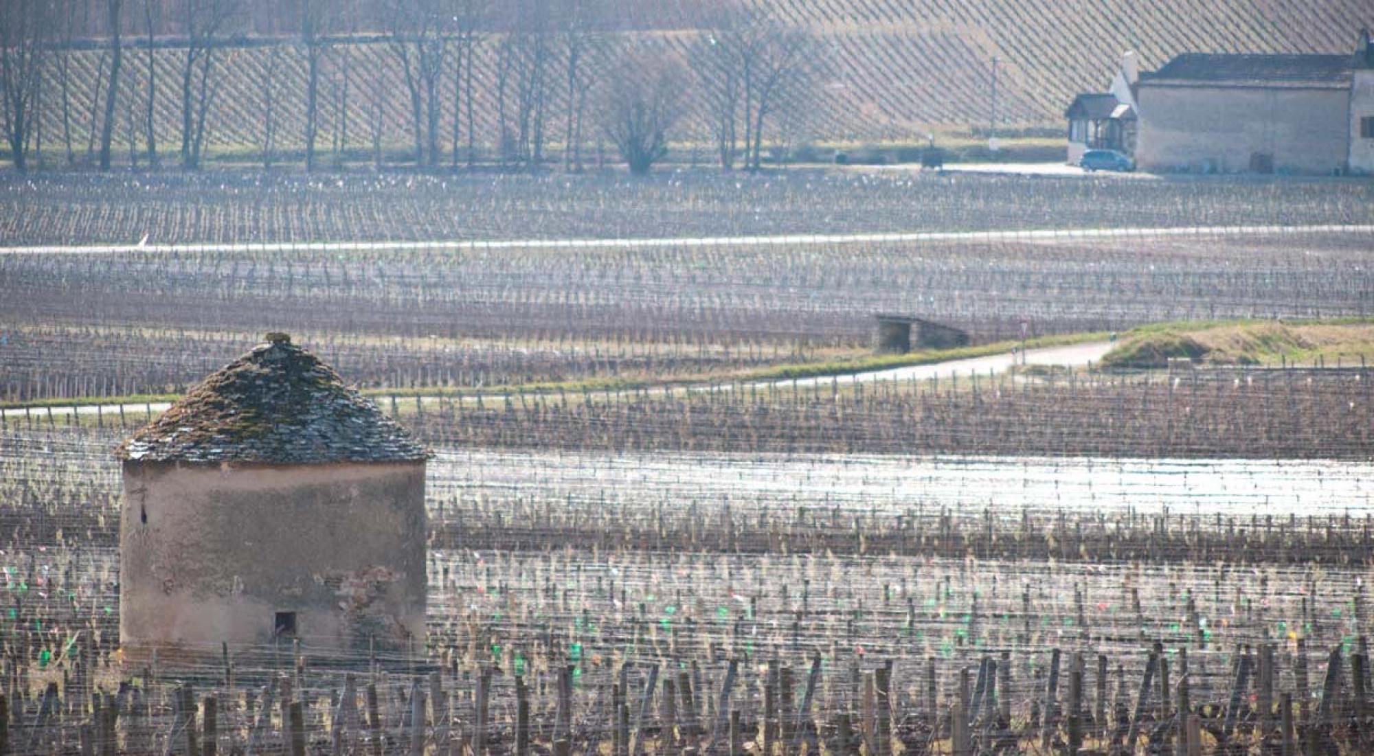 Savigny-Lès-Beaune