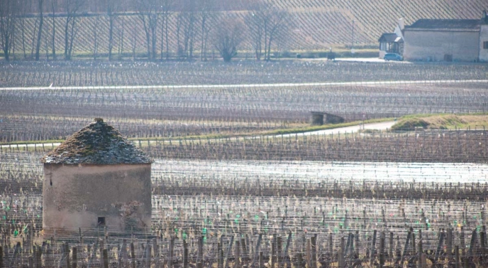 Read more about Savigny-Lès-Beaune