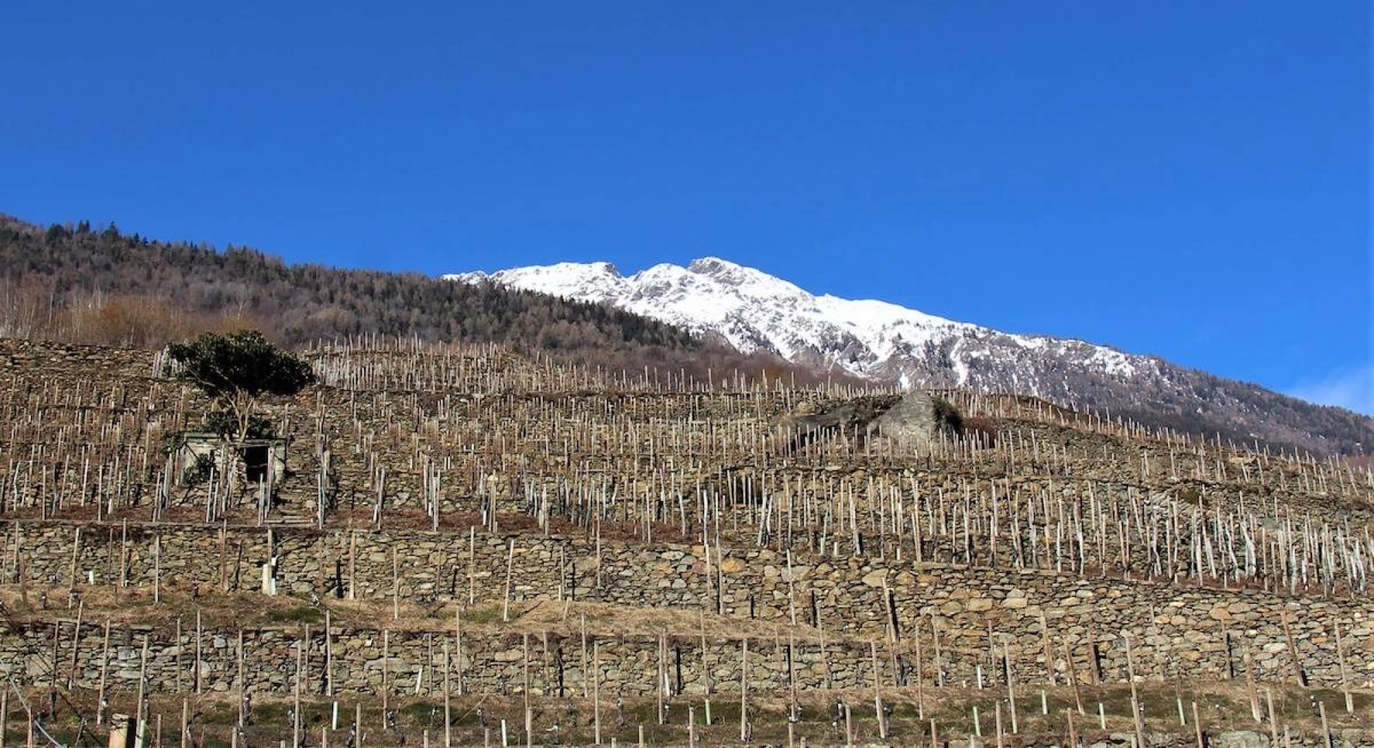 Valtellina Superiore