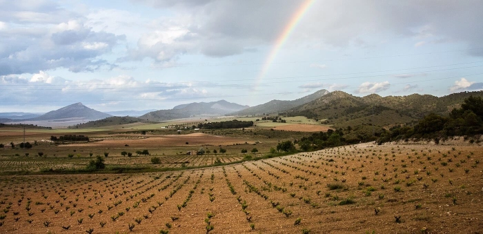 Read more about Jumilla