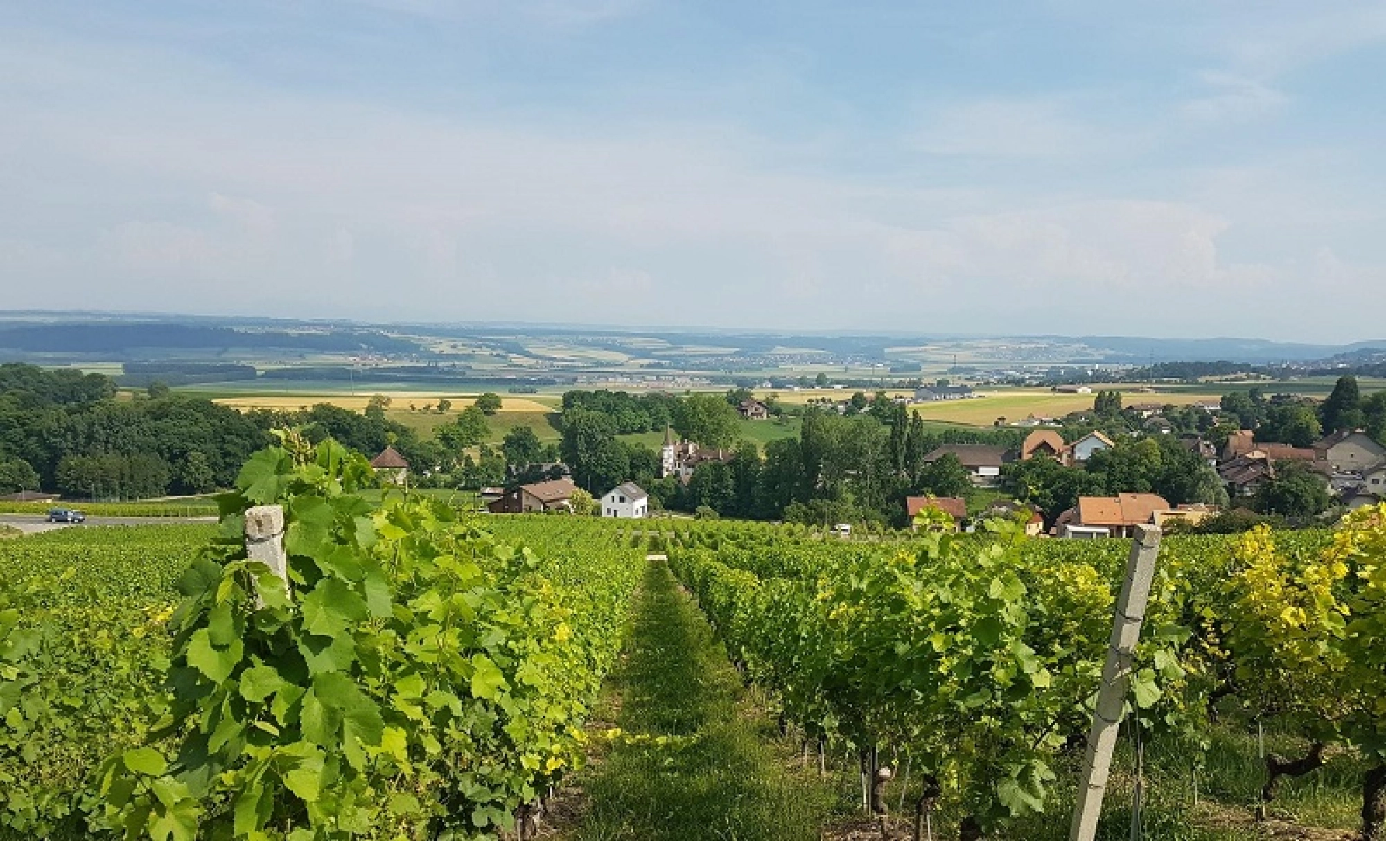 Les Côtes de l’Orbe