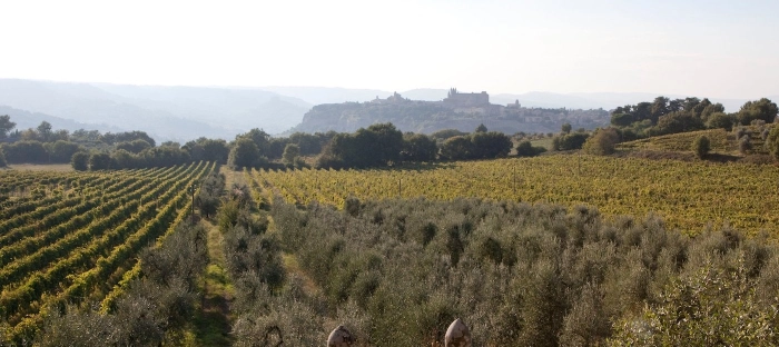 Read more about Orvieto