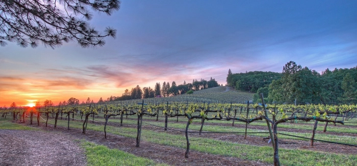 Read more about Sierra Foothills