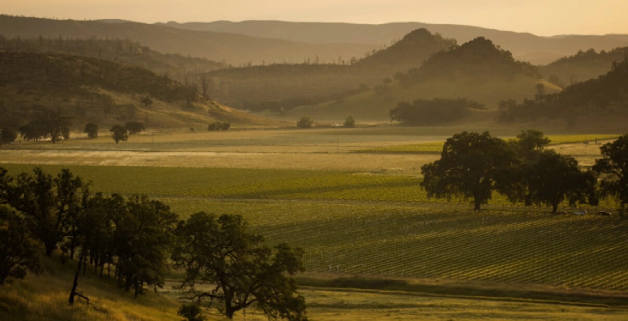 Guenoc Valley