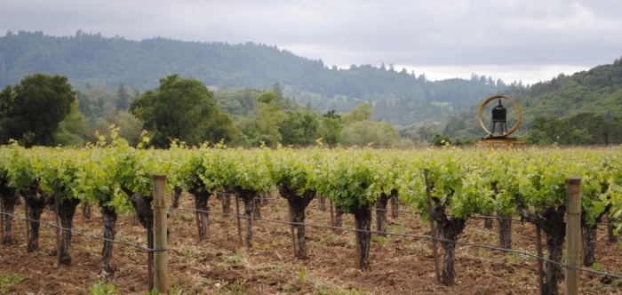 Read more about Potter Valley