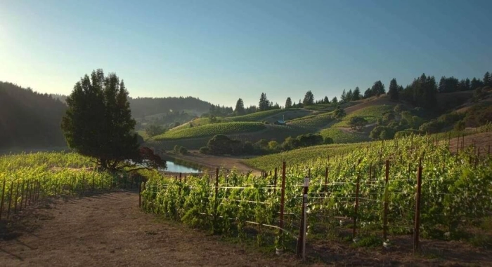 Read more about Redwood Valley