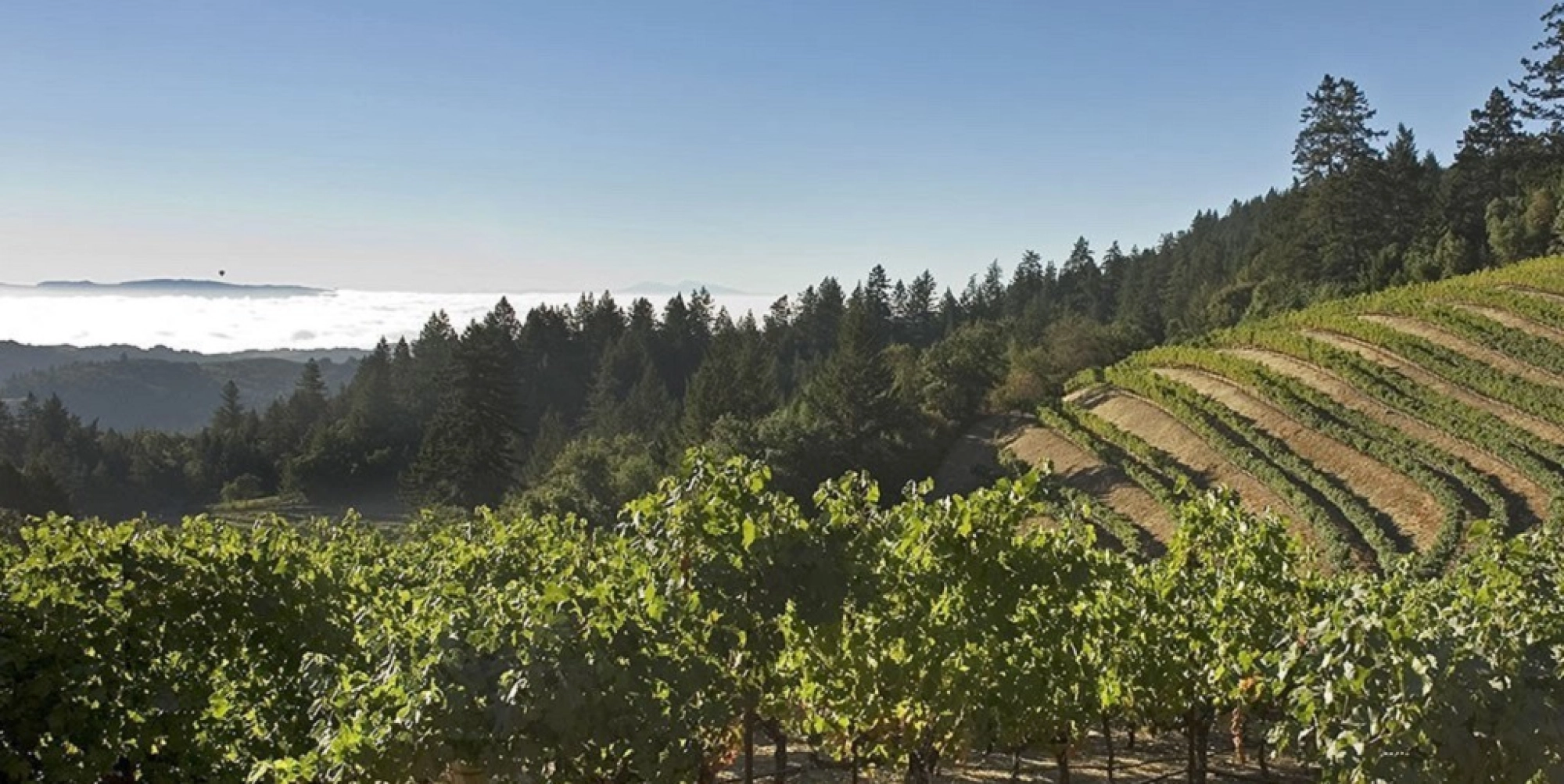 Mount Veeder