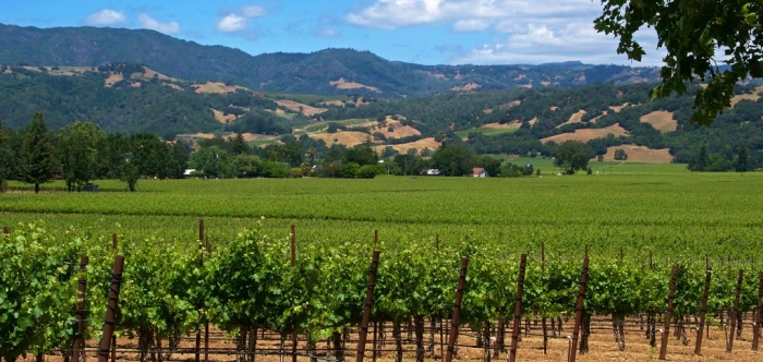 Read more about Sonoma County