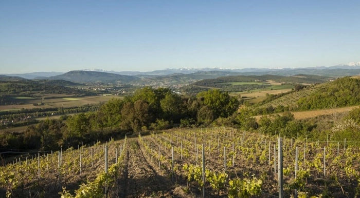 Read more about Blanquette de Limoux