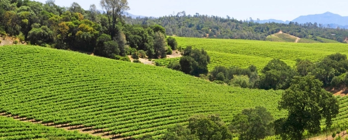 Read more about Dry Creek Valley