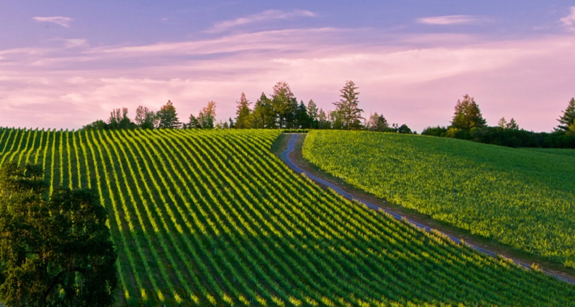 Russian River Valley