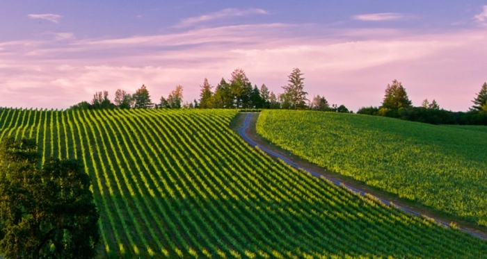 Read more about Russian River Valley