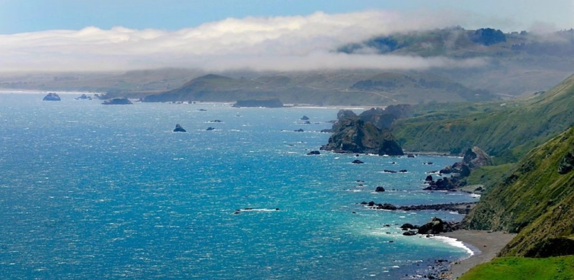 Sonoma Coast