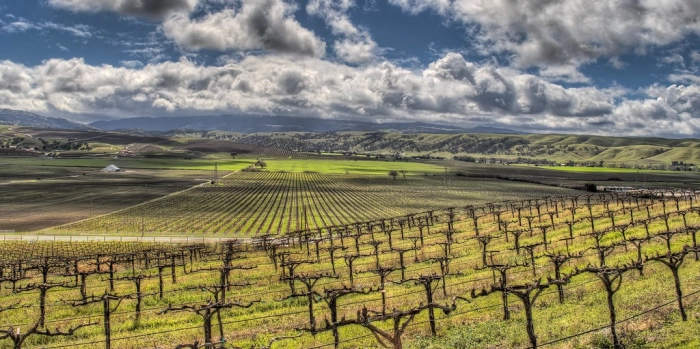 Read more about Livermore Valley