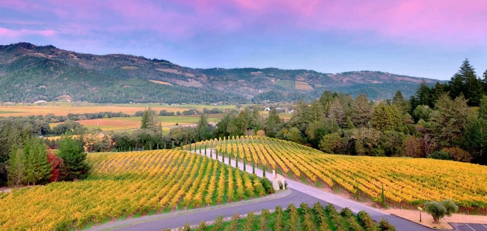 Read more about Napa Valley