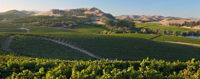 Read more about Carneros