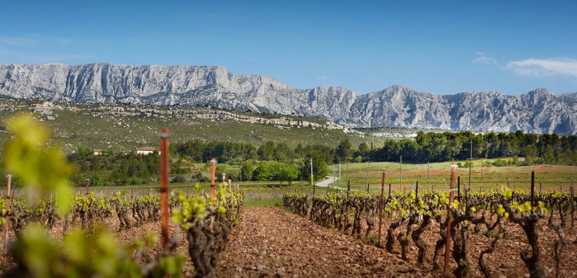 Côtes de Provence - Sainte-Victoire