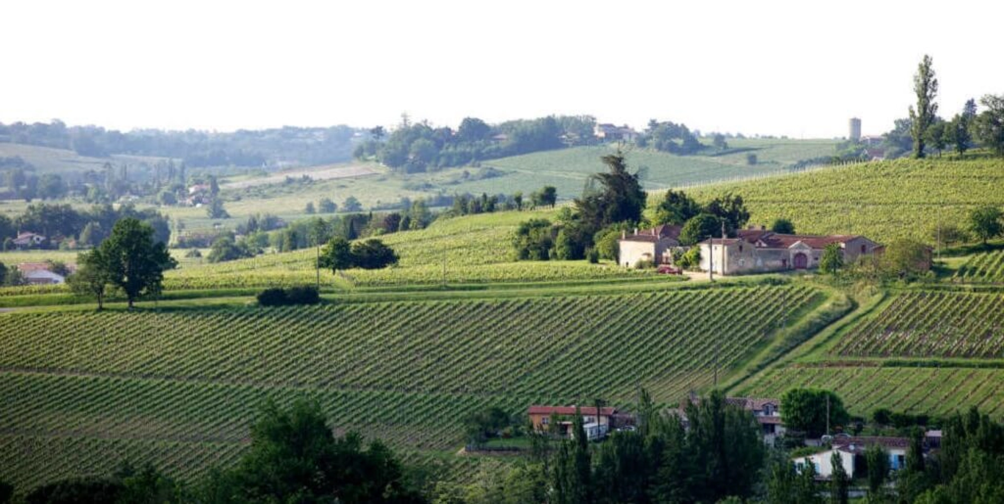 Côtes de Bordeaux