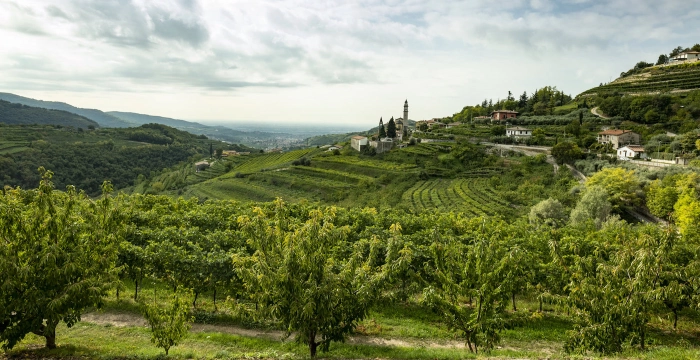 Read more about Amarone della Valpolicella