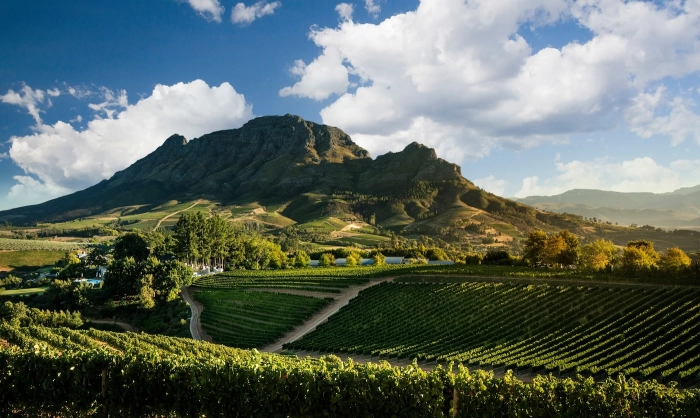 Read more about Stellenbosch