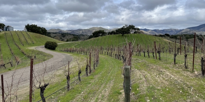 Read more about Santa Ynez Valley