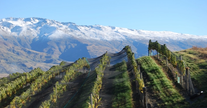 Read more about Central Otago