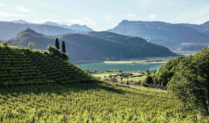 Read more about Lago di Caldaro