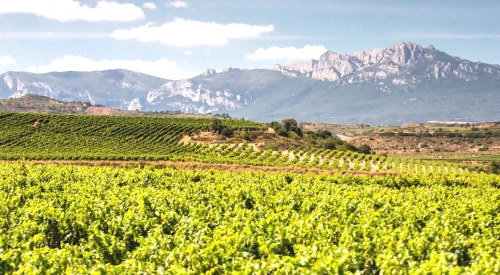 Read more about La Rioja