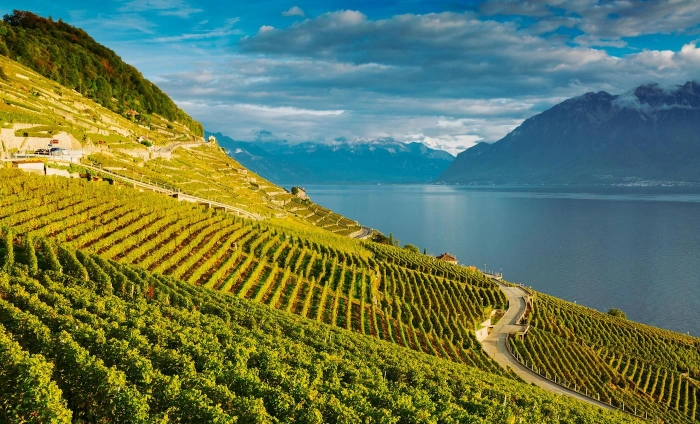 Read more about Lavaux