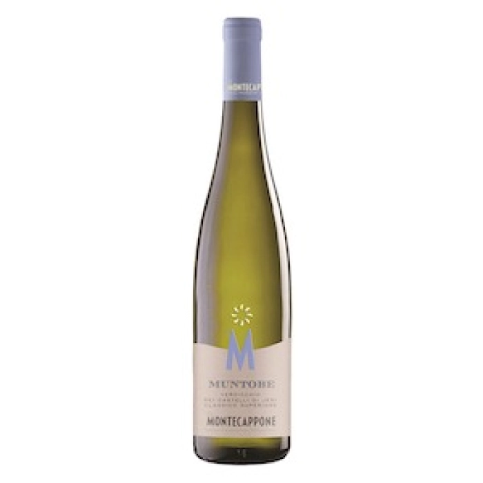 Verdicchio dei Castelli di Jesi DOC Superiore  Classico  