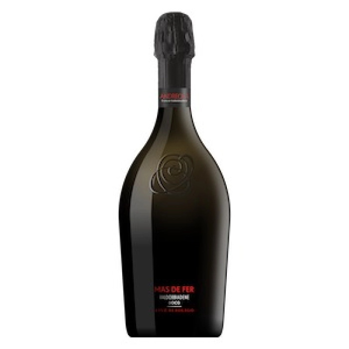 Conegliano Valdobbiadene Prosecco DOCG Extra Dry  Soligo  