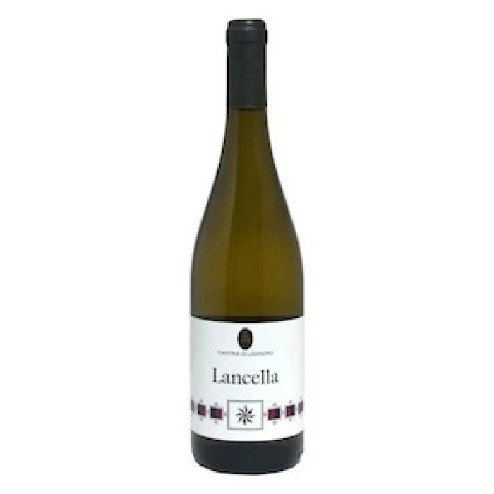 Terre del Volturno IGP Pallagrello Bianco  